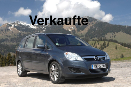 2010 Opel Arena 